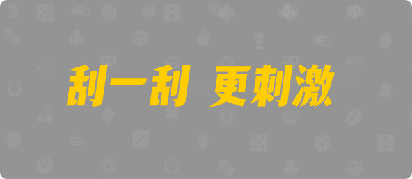 加拿大28,查询,预测,结果,组合